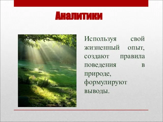 Аналитики Используя свой жизненный опыт, создают правила поведения в природе, формулируют выводы.