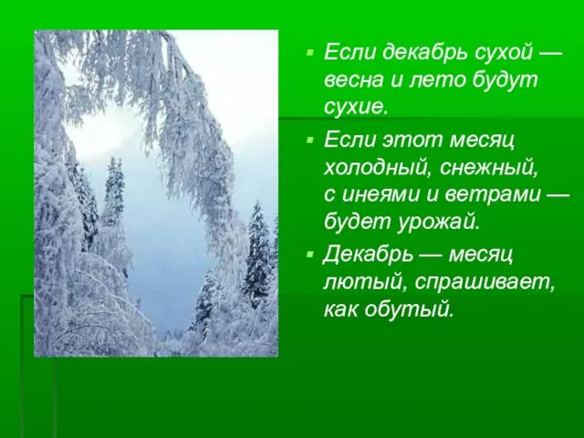 Если декабрь сухой — весна и лето будут сухие. Если этот месяц