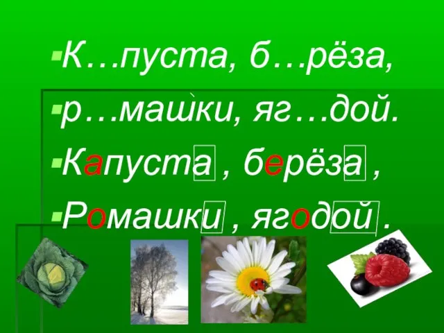 К…пуста, б…рёза, р…машки, яг…дой. Капуста , берёза , Ромашки , ягодой .