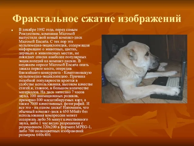 Фрактальное сжатие изображений В декабре 1992 года, перед самым Рождеством, компания Microsoft