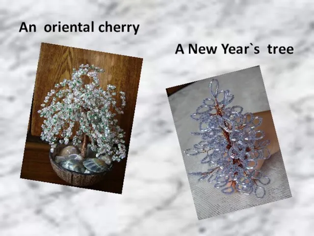 An oriental cherry A New Year`s tree