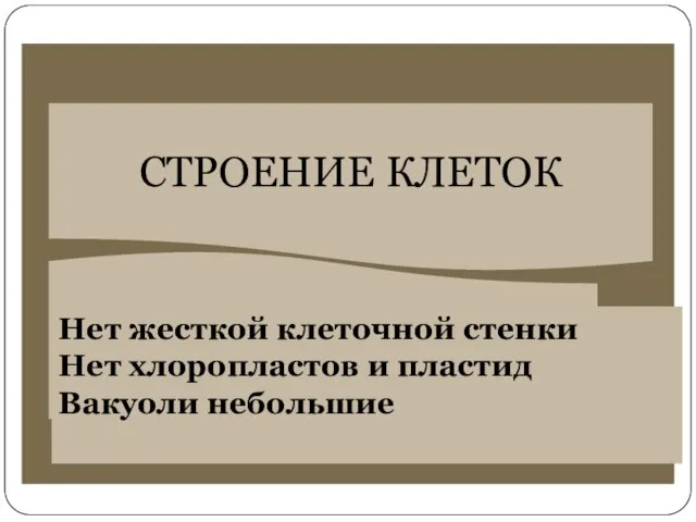 СТРОЕНИЕ КЛЕТОК