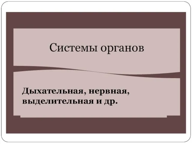 Системы органов