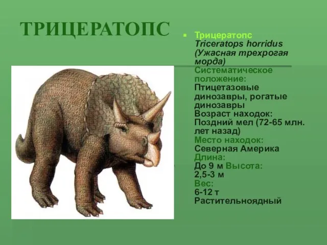 ТРИЦЕРАТОПС Трицератопс Triceratops horridus (Ужасная трехрогая морда) Систематическое положение: Птицетазовые динозавры, рогатые