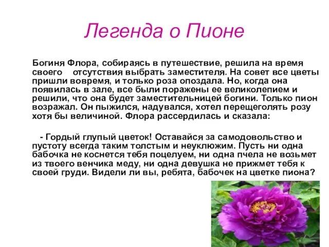 Легенда о Пионе Богиня Флора, собираясь в путешествие, решила на время своего