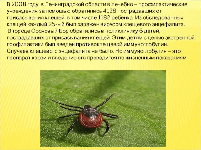 В 2008 году в Ленинградской области в лечебно – профилактические учреждения за