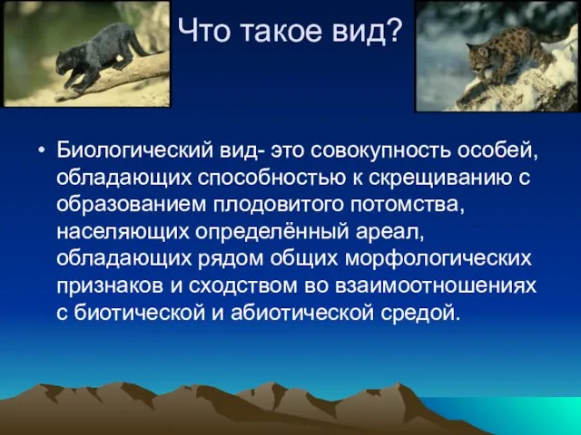 Что такое вид? Биологический вид- это совокупность особей, обладающих способностью к скрещиванию