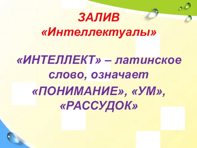 ЗАЛИВ «Интеллектуалы» «ИНТЕЛЛЕКТ» – латинское слово, означает «ПОНИМАНИЕ», «УМ», «РАССУДОК»