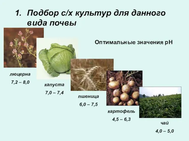 Подбор с/х культур для данного вида почвы Оптимальные значения рН люцерна 7,2