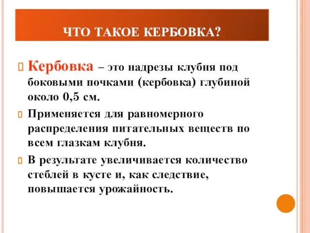 ЧТО ТАКОЕ КЕРБОВКА? Кербовка – это надрезы клубня под боковыми почками (кербовка)