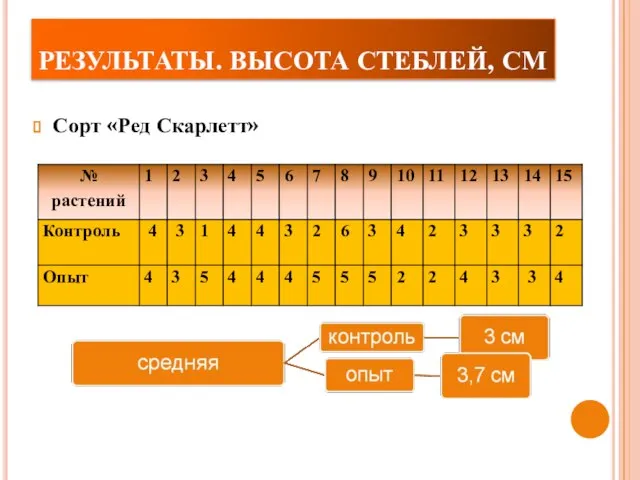 РЕЗУЛЬТАТЫ. ВЫСОТА СТЕБЛЕЙ, СМ Сорт «Ред Скарлетт»