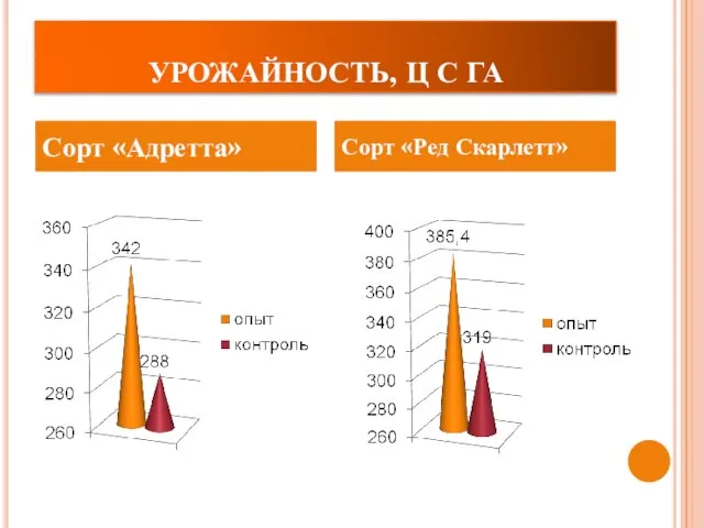 УРОЖАЙНОСТЬ, Ц С ГА Сорт «Адретта» Сорт «Ред Скарлетт»