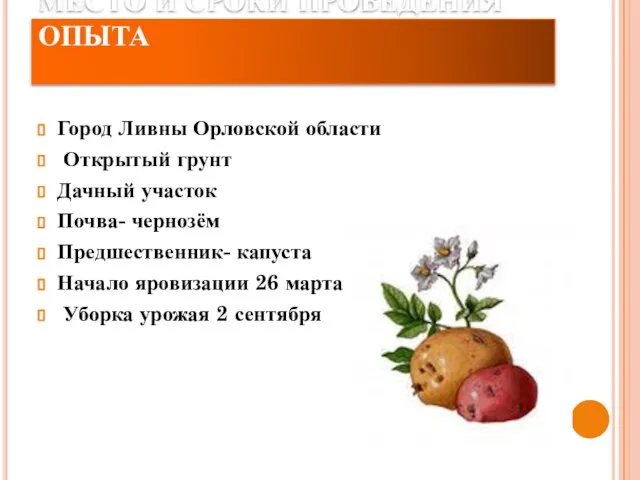 МЕСТО И СРОКИ ПРОВЕДЕНИЯ ОПЫТА Город Ливны Орловской области Открытый грунт Дачный