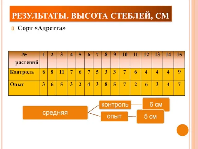 РЕЗУЛЬТАТЫ. ВЫСОТА СТЕБЛЕЙ, СМ Сорт «Адретта»