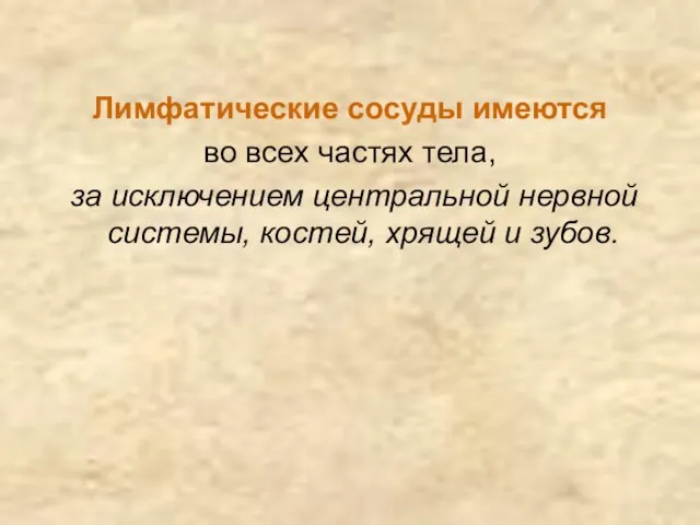 Лимфатические сосуды имеются во всех частях тела, за исключением центральной нервной системы, костей, хрящей и зубов.