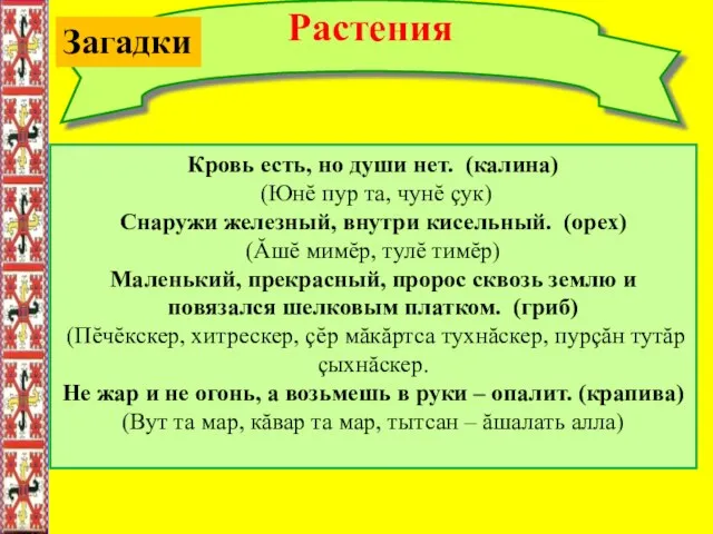 Растения Кровь есть, но души нет. (калина) (Юнĕ пур та, чунĕ çук)