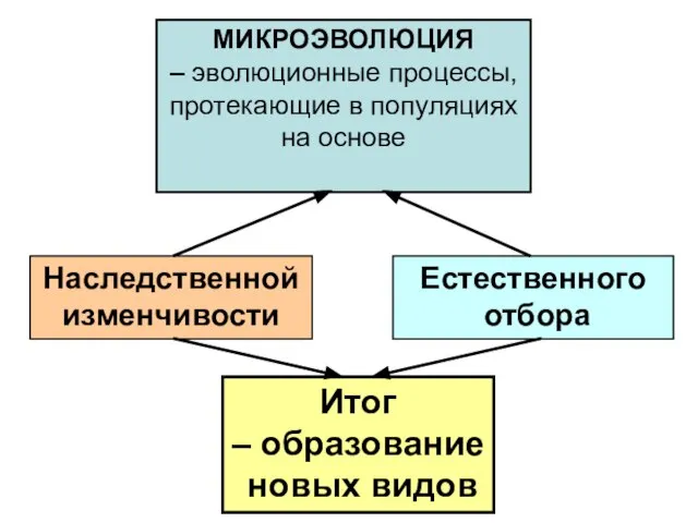 МИКРОЭВОЛЮЦИЯ – эволюционные процессы, протекающие в популяциях на основе Наследственной изменчивости Естественного