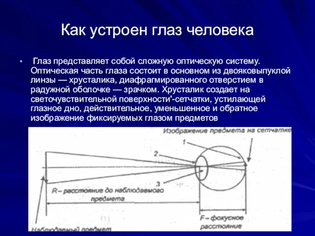 Как устроен глаз человека Глаз представляет собой сложную оптическую систему. Оптическая часть