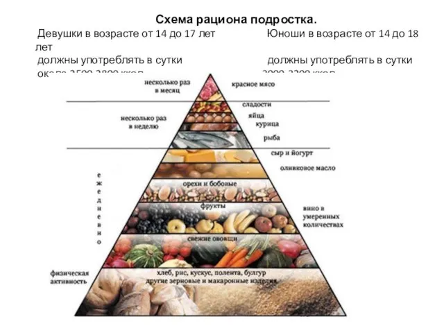 Схема рациона подростка. Девушки в возрасте от 14 до 17 лет Юноши