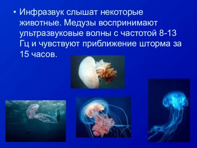 Инфразвук слышат некоторые животные. Медузы воспринимают ультразвуковые волны с частотой 8-13 Гц