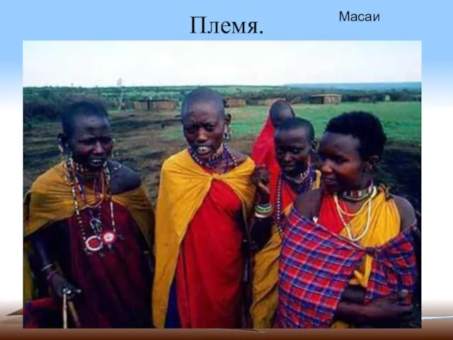 Племя. Масаи