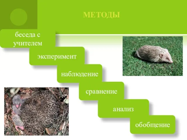 методы беседа с учителем эксперимент наблюдение сравнение анализ обобщение