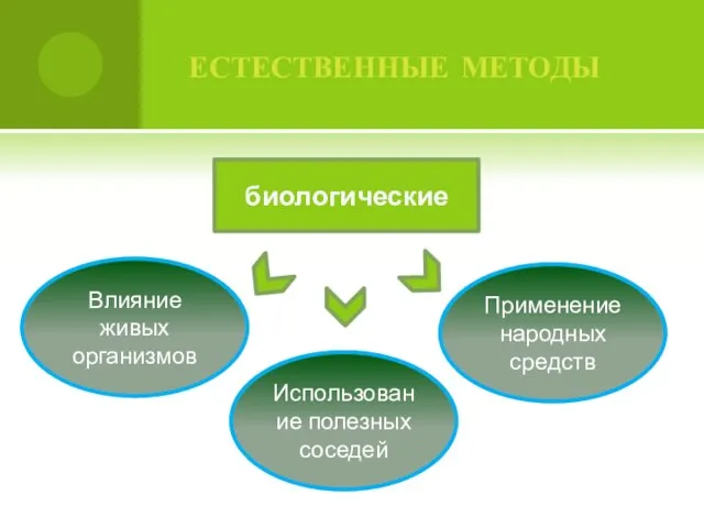 естественные методы Применение народных средств Влияние живых организмов Использование полезных соседей биологические