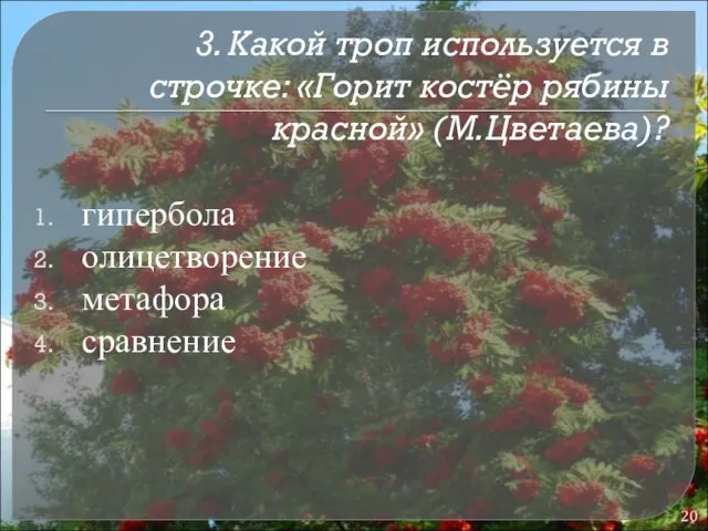 3. Какой троп используется в строчке: «Горит костёр рябины красной» (М.Цветаева)? гипербола олицетворение метафора сравнение