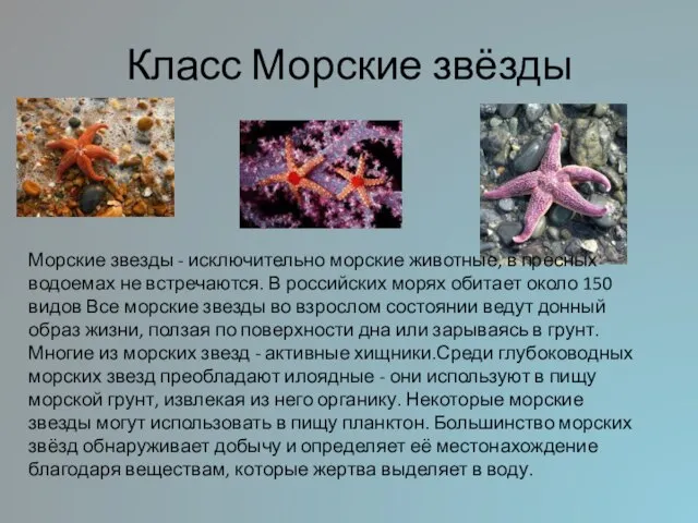 Класс Морские звёзды Морские звезды - исключительно морские животные, в пресных водоемах