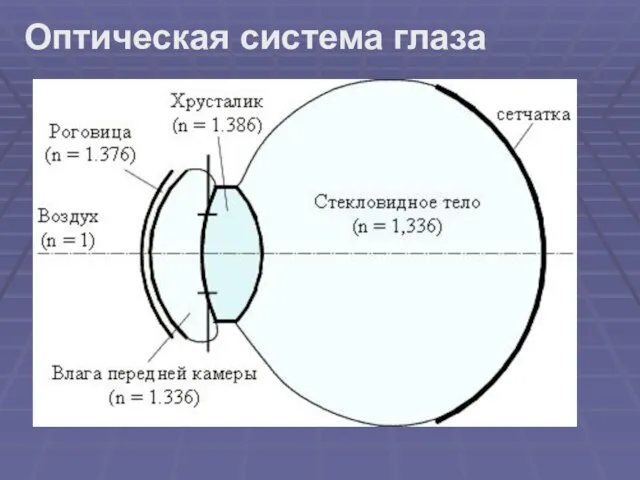 Оптическая система глаза