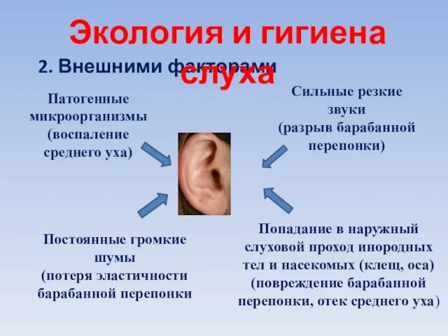 2. Внешними факторами Экология и гигиена слуха Патогенные микроорганизмы (воспаление среднего уха)
