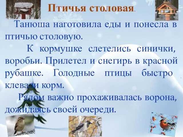 Птичья столовая. Танюша наготовила еды и понесла в птичью столовую. К кормушке