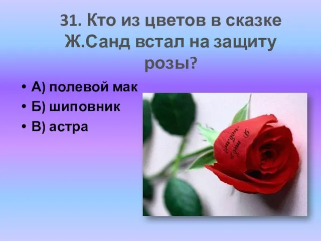 А) полевой мак Б) шиповник В) астра 31. Кто из цветов в