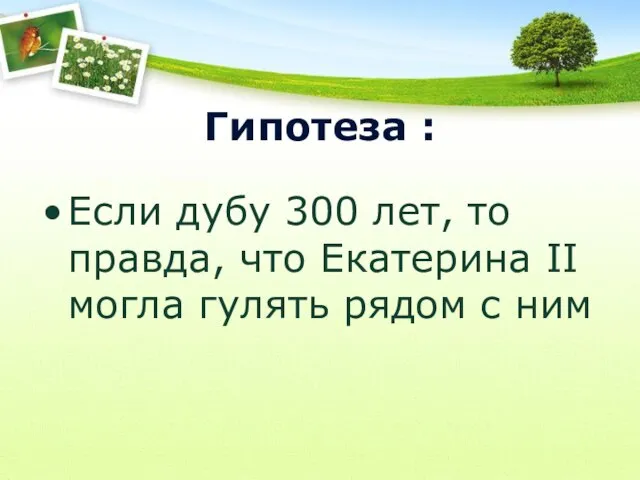 Гипотеза : Если дубу 300 лет, то правда, что Екатерина II могла гулять рядом с ним