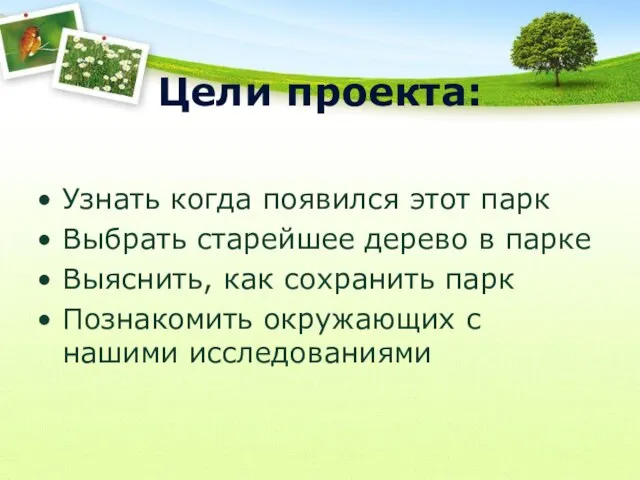 Цели проекта: Узнать когда появился этот парк Выбрать старейшее дерево в парке