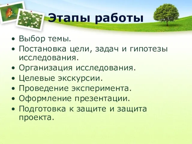 Этапы работы Выбор темы. Постановка цели, задач и гипотезы исследования. Организация исследования.