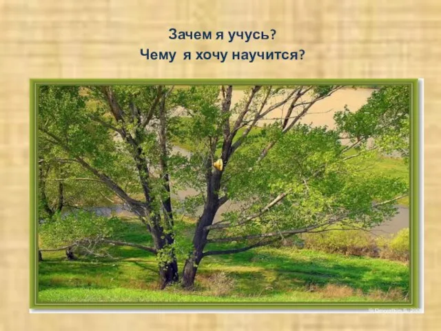 Зачем я учусь? Чему я хочу научится?