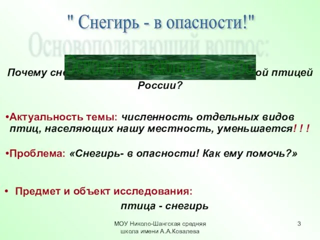 МОУ Николо-Шангская средняя школа имени А.А.Ковалева Предмет и объект исследования: птица -