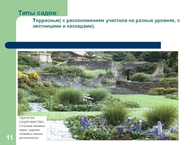 * Типы садов: террасные( с расположением участков на разных уровнях, с лестницами и каскадами).