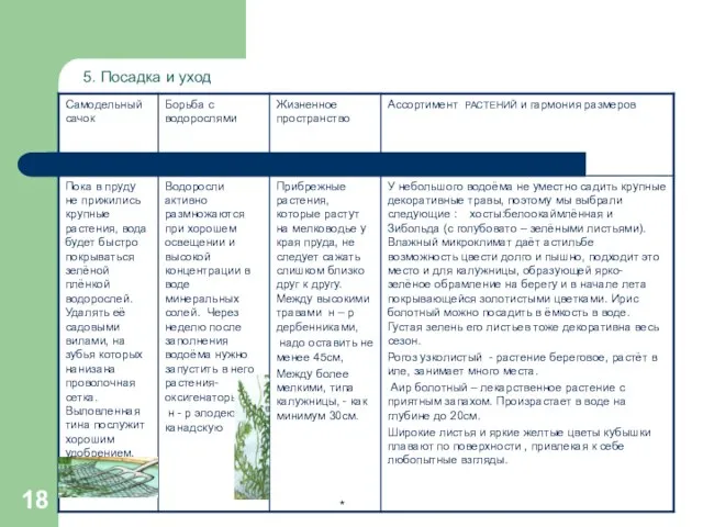 * . 5. Посадка и уход