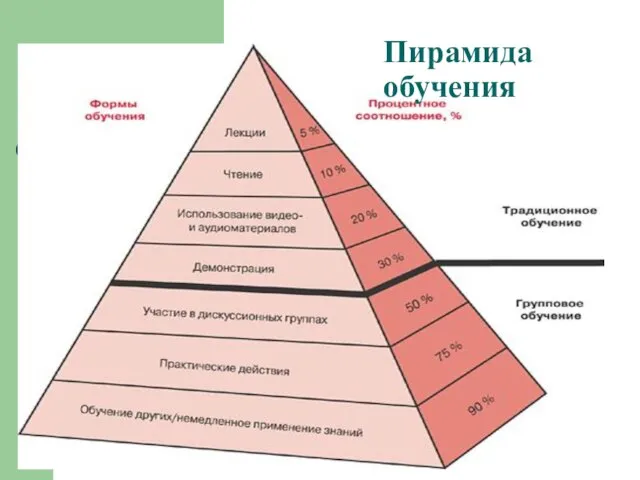 Пирамида обучения