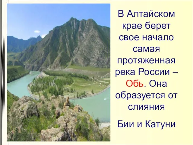 В Алтайском крае берет свое начало самая протяженная река России – Обь.