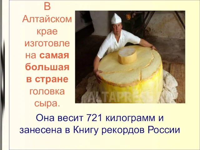 В Алтайском крае изготовлена самая большая в стране головка сыра. Она весит