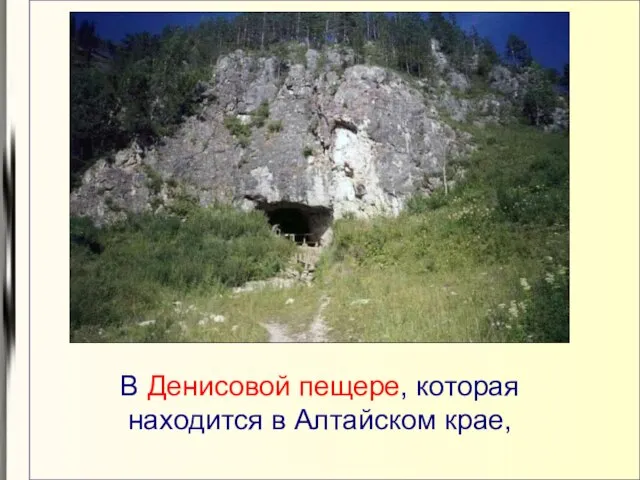 В Денисовой пещере, которая находится в Алтайском крае,