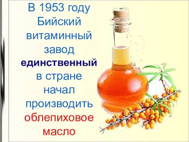 В 1953 году Бийский витаминный завод единственный в стране начал производить облепиховое масло