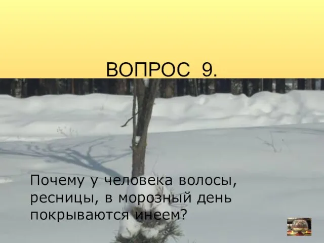 ВОПРОС 9. Почему у человека волосы, ресницы, в морозный день покрываются инеем?