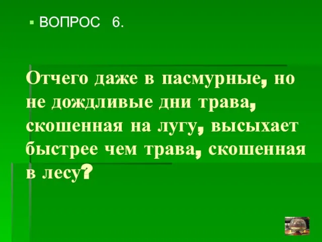 Отчего даже в пасмурные, но не дождливые дни трава, скошенная на лугу,