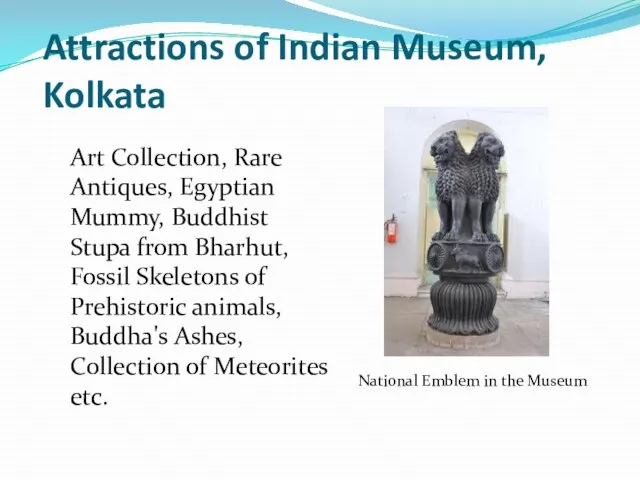 Attractions of Indian Museum, Kolkata Art Collection, Rare Antiques, Egyptian Mummy, Buddhist