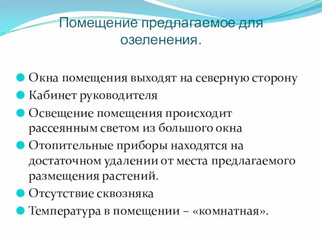 Помещение предлагаемое для озеленения. Окна помещения выходят на северную сторону Кабинет руководителя