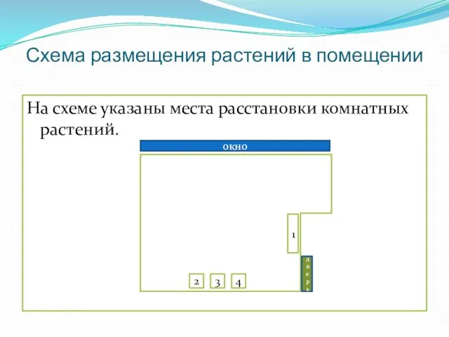 Схема размещения растений в помещении На схеме указаны места расстановки комнатных растений.